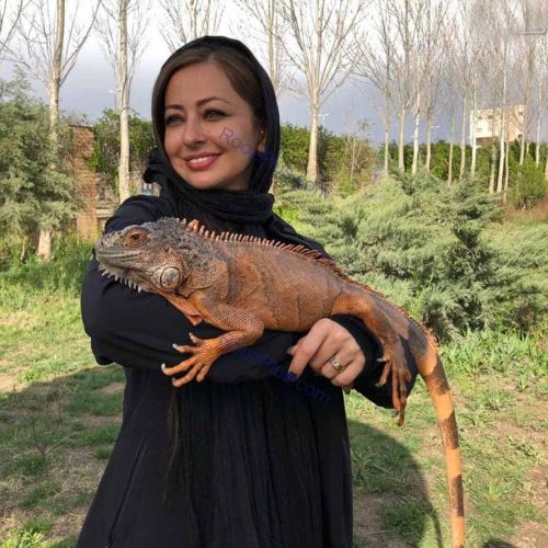 فیلم بازی نفیسه روشن با عجیب ترین حیوان گونه کمیاب جنجالی شد