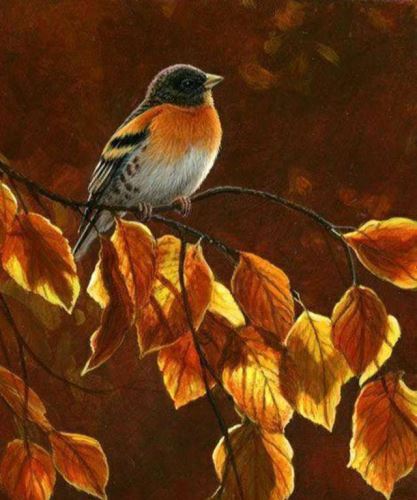 عکس های عاشقانه با متن و بدون متن پاییزی پسرانه
