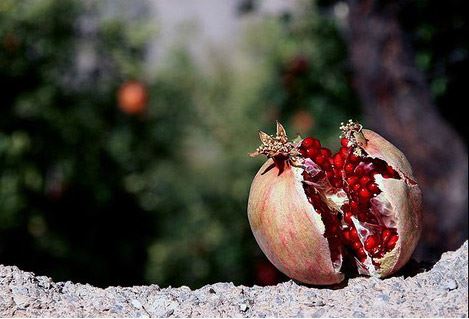 عکس های عاشقانه با متن و بدون متن پاییزی پسرانه