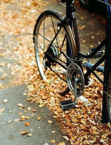 عکس های عاشقانه با متن و بدون متن پاییزی پسرانه