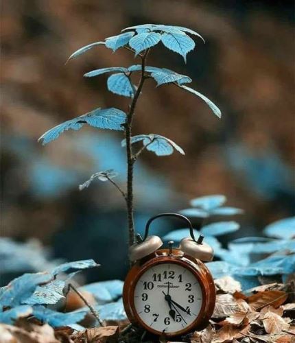 عکس های عاشقانه با متن و بدون متن پاییزی پسرانه