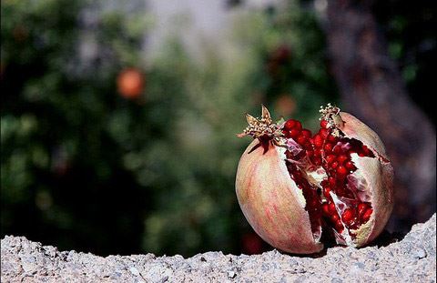 عکس های عاشقانه با متن و بدون متن پاییزی پسرانه