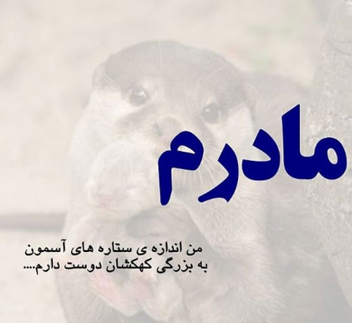 عکس نوشته های خاص و ناب درباره فرشته زمینی، مادر