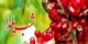 لاکچری چیدمان چله ای عروس و داماد+ اشعار عاشقانه