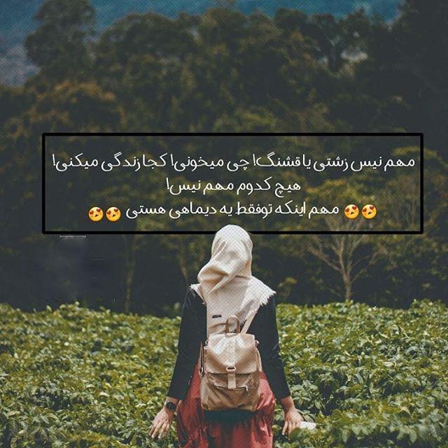عکس نوشته های زیبا برای متولدین ماه اول زمستان/ دی ماهی ها