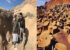 روستای عجیب ماخونیک؛ سرزمین آدم کوتوله ها و لی لی پوت های ایران