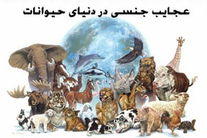 عجایب و دانستنی های جالب جنسی در دنیای حیوانات عجایب و دانستنی های جالب جنسی در دنیای حیوانات
