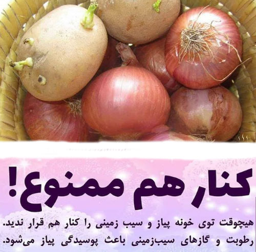 نکات کلیدی و راز های مهم و پنهان خانه داری
