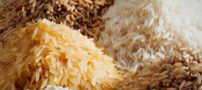 بهترین روش ها برای تشخیص برنج خوب و عالی