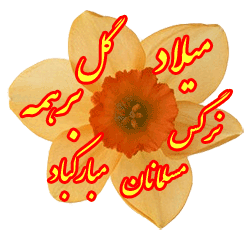 عکس، تکست، گیف، پیام و اشعار تبریک نیمه شعبان