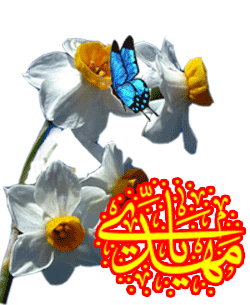 عکس، تکست، گیف، پیام و اشعار تبریک نیمه شعبان