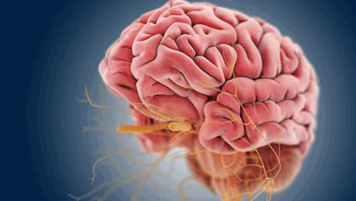 زبان پریشی یا آفازی چیست؟ + علل و انواع آن