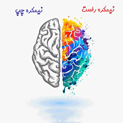 زبان پریشی یا آفازی چیست؟ + علل و انواع آن