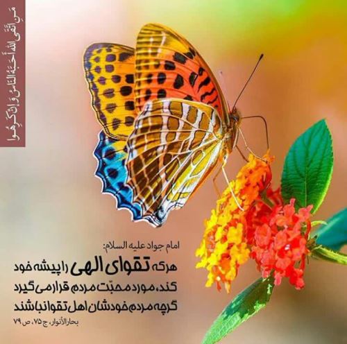 راه های رسیدن به بینش الهی و تزکیه زیبای روح/ بخش 1