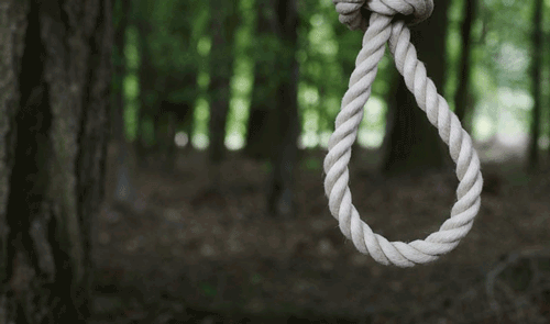 جنگل ترسناک و شگفت انگیز/ تصاویر جنگل خودکشی در ژاپن