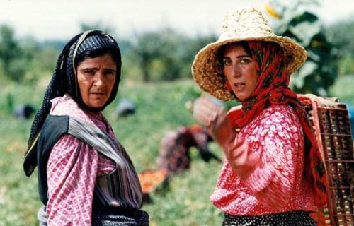 تصاویر و اسامی معرفی بهترین بازیگران زن و مرد سینمای ایران