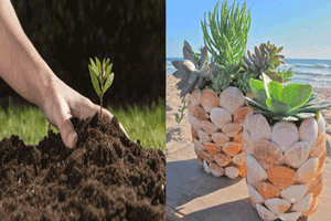 ایده های ساده و عالی تقویت خاک گلدان / طراحی جالب گلدان