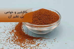 خواص درمانی خاکشیر و معجزه کننده بیماری ها