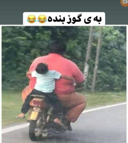 جدیدترین عکس های فان و خنده دار تابستانی