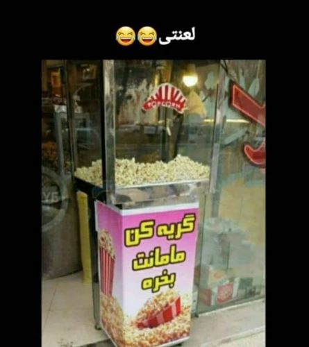 جدیدترین عکس های فان و خنده دار تابستانی