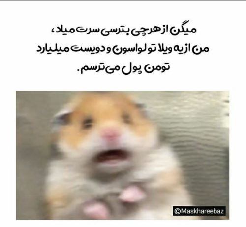 جدیدترین عکس های فان و خنده دار تابستانی