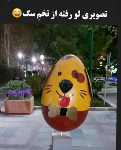 جدیدترین عکس های فان و خنده دار تابستانی