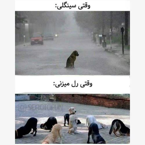 جدیدترین عکس های فان و خنده دار تابستانی