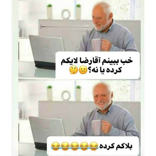 جدیدترین عکس های فان و خنده دار تابستانی