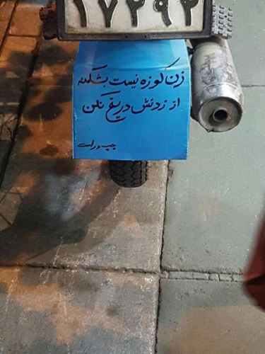 جدیدترین عکس های فان و خنده دار تابستانی