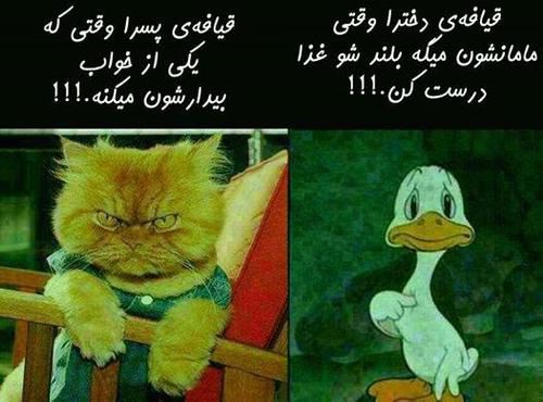 جدیدترین عکس های فان و خنده دار تابستانی