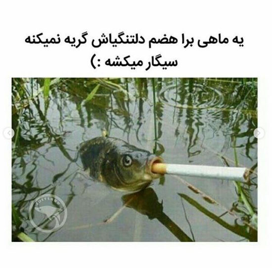 عکس های خنده دار جدید اینستاگرامی برای استوری کردن