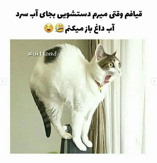 عکس های خنده دار جدید اینستاگرامی برای استوری کردن