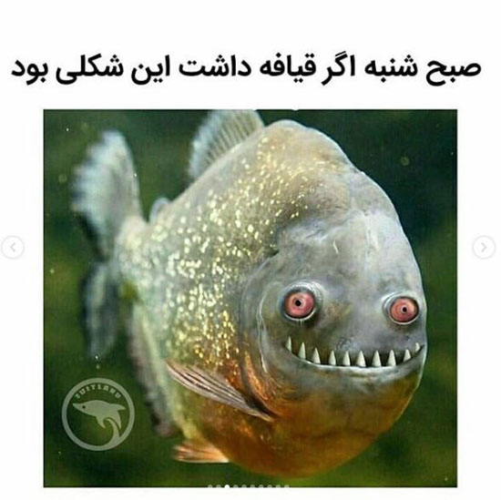 عکس های خنده دار جدید اینستاگرامی برای استوری کردن