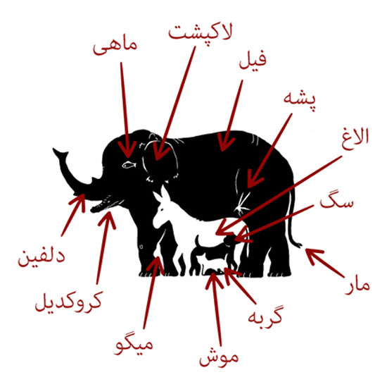 5 معما و تست هوش تصویری برای تقویت سلول های خاکستری مغز