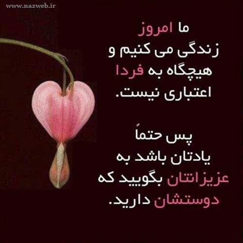 این تصاویر بی نظیر و الهام بخش را از دست ندهید