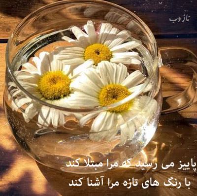 آرشیو عکس نوشته و متن های عاشقانه عصربخیر عشق جان