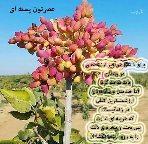 آرشیو عکس نوشته و متن های عاشقانه عصربخیر عشق جان