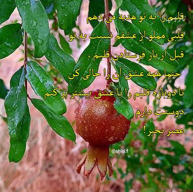 آرشیو عکس نوشته و متن های عاشقانه عصربخیر عشق جان