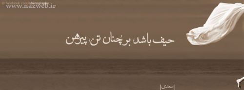 مینی شعرهای تصویری و تاثیرگذار (7)