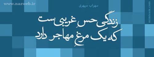 مینی شعرهای تصویری و تاثیرگذار (7)