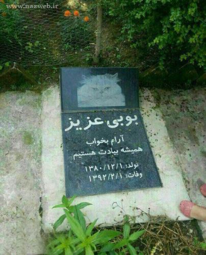از قبرستان حیوانات در تهران تا کوچه ی پر از پورشه! عکس