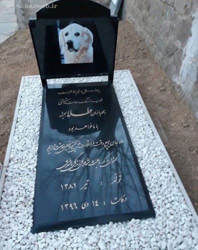 از قبرستان حیوانات در تهران تا کوچه ی پر از پورشه! عکس