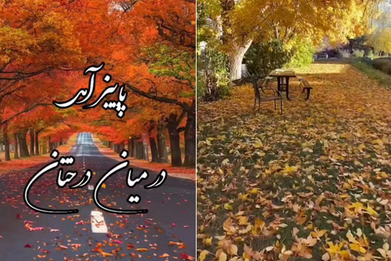 متن و پیام‌های عاشقانه و احساسی مخصوص فصل پاییز