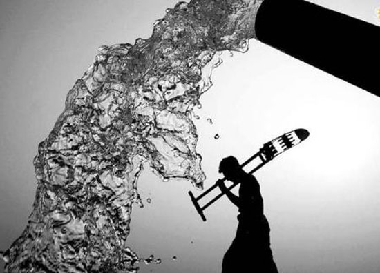 عکس های گوناگون و دیدنی محافظت از طبیعت
