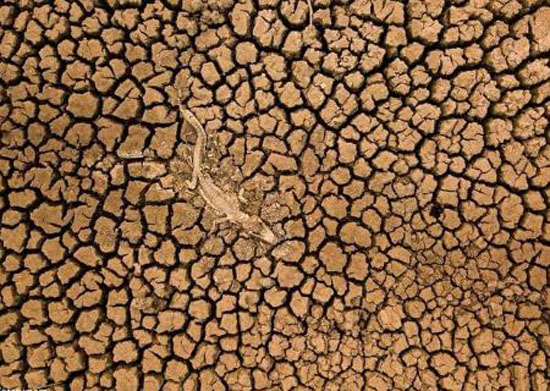 عکس های گوناگون و دیدنی محافظت از طبیعت