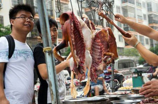 خوردن عجیب سر سگ و گربه در جنوب شرقی چین (عکس 18+)