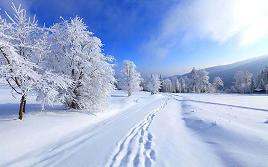 مقاله و تحقیق چرا برف سفید است و برف چگونه ساخته می شود؟