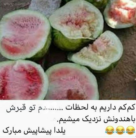 عکس های بمب خنده؛ داغ و جدید 2022