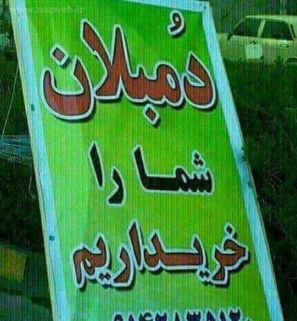 عکس های بمب خنده؛ داغ و جدید 2022