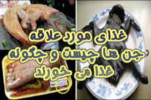 غذای مورد علاقه جن ها و غذا خوردن جن ها چگونه است غذای مورد علاقه جن ها و غذا خوردن جن ها چگونه است